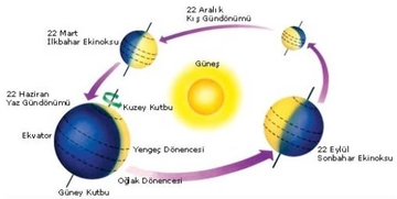 Dünyanın Şekli ve Hareketleri Nelerdir?