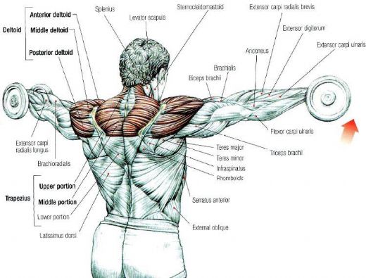 Body Hareketleri Nelerdir?