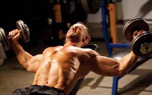 Dambıl Hareketleri Nelerdir?