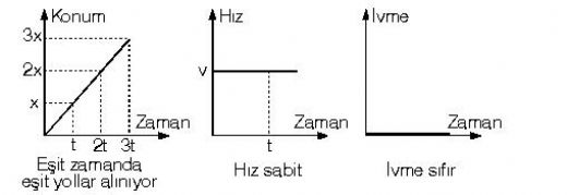 Dzgn Dorusal Hareket