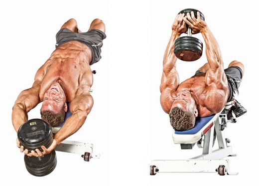 Kanat Hareketleri Nelerdir?