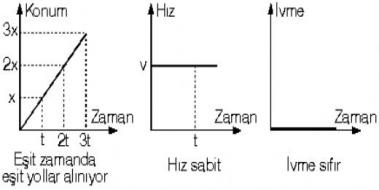 Dorusal Hareket Formlleri